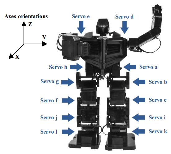 Robot con dodici servo motori